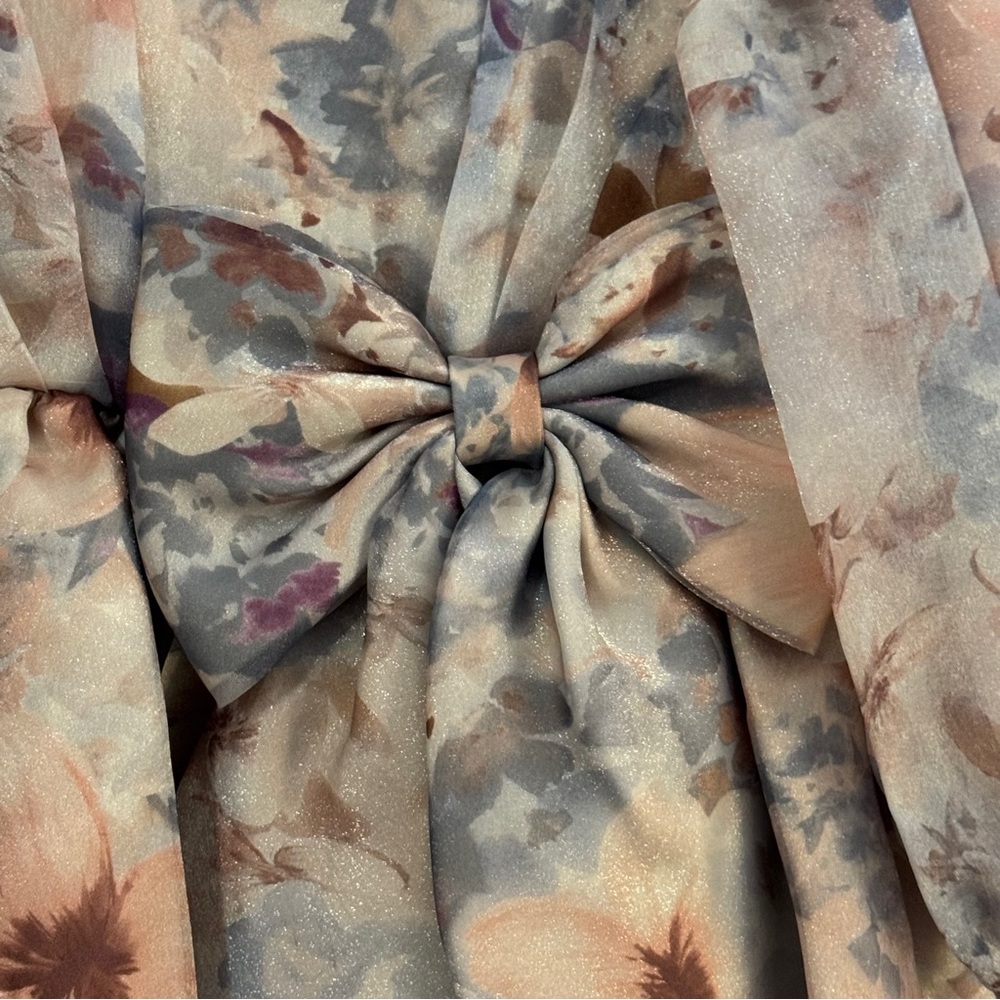 NWT Rare Editions Baby Girl Floral Dress Bubble Sleeve Puffy Skirt & Bow - Picture 4 of 14